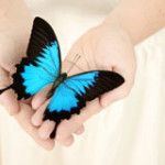 Are_You_a_Perfectionist_or_Butterfly(1)