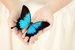 Are_You_a_Perfectionist_or_Butterfly(1)