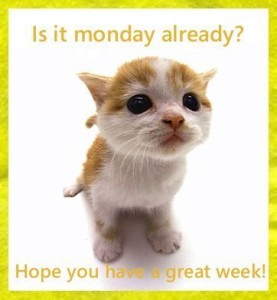 11766969-happy-monday-kitty